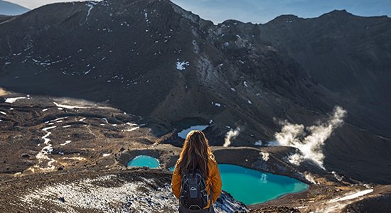 Hop On Hop Off Bus Pass in New Zealand