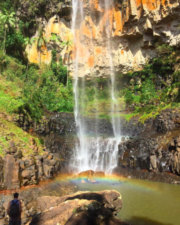 Springbrook National Park Tours